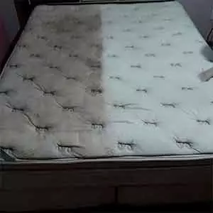 Seu Lavanderia em Osasco Limpo