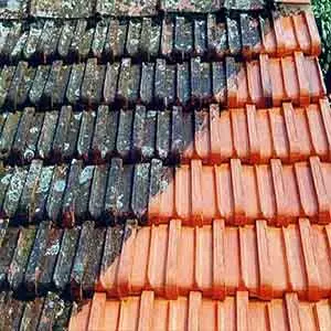 Áreas De Atuação da Lavanderia em Osasco
